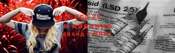 винт Алзамай