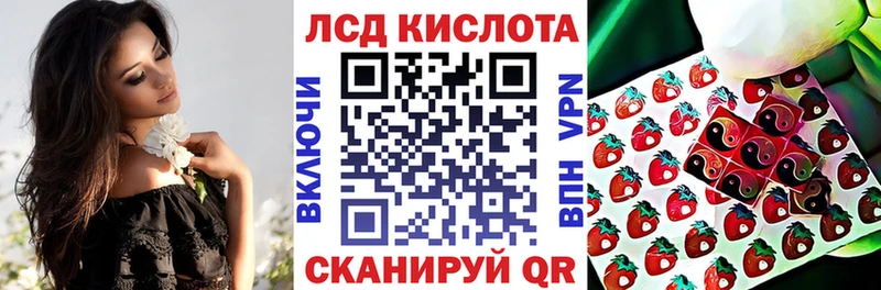 даркнет клад  Жуковка  Наркотические марки 1,8мг  kraken вход 
